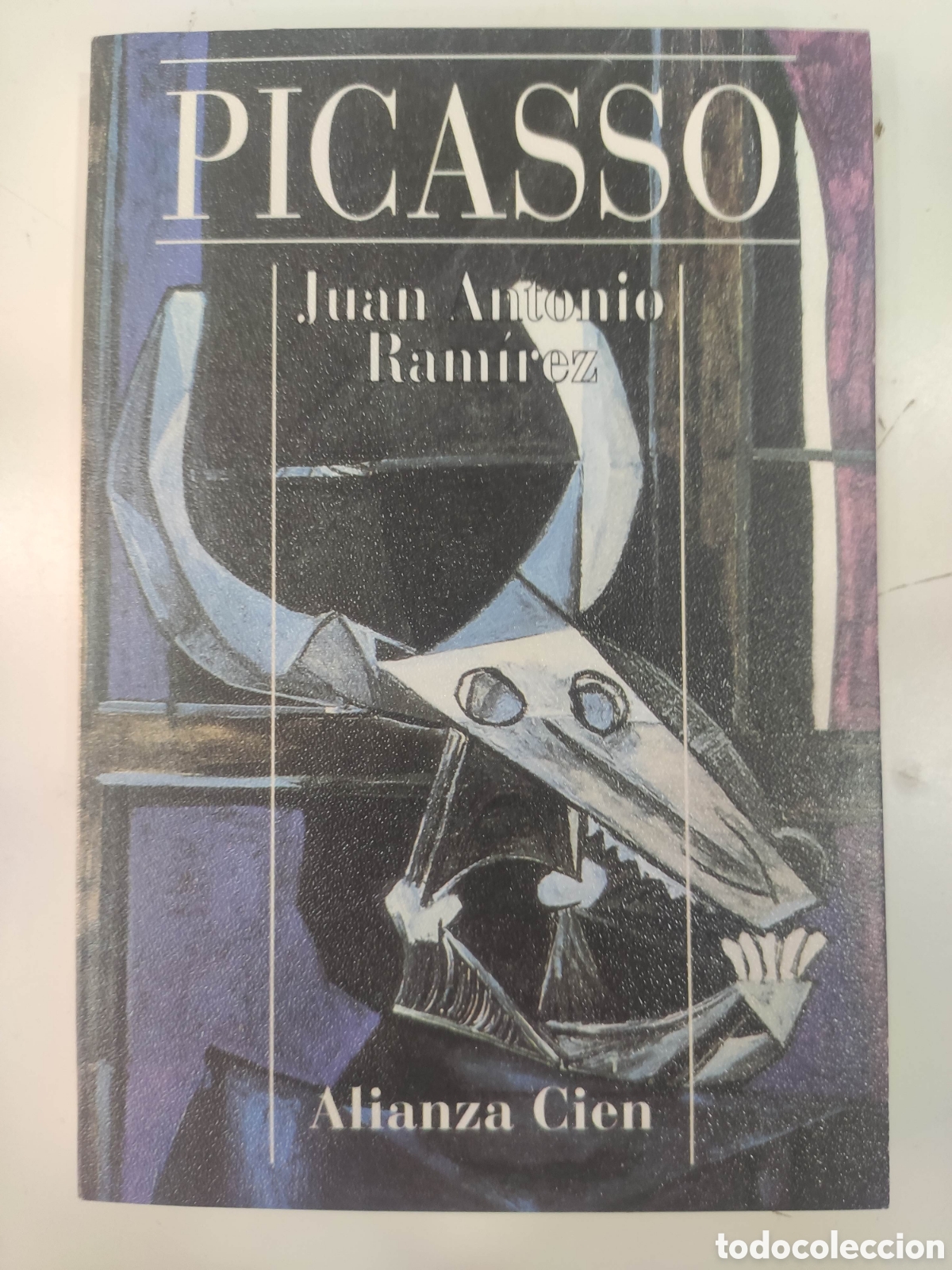 Gebrauchte B&uuml;cher: PICASSO JUAN ANTONIO RAMIREZ