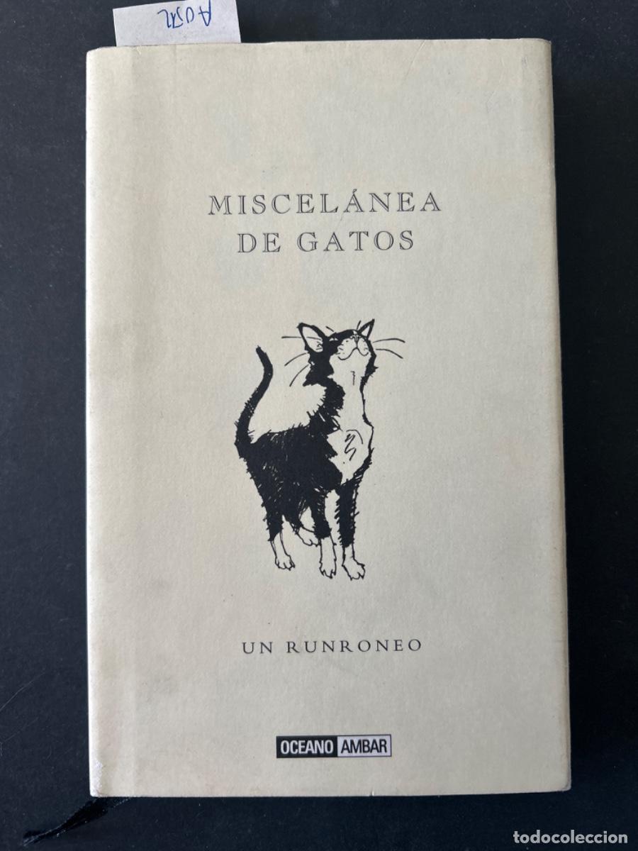 Libros de segunda mano: MISCELANEA DE GATOS, UN RUNRONEO