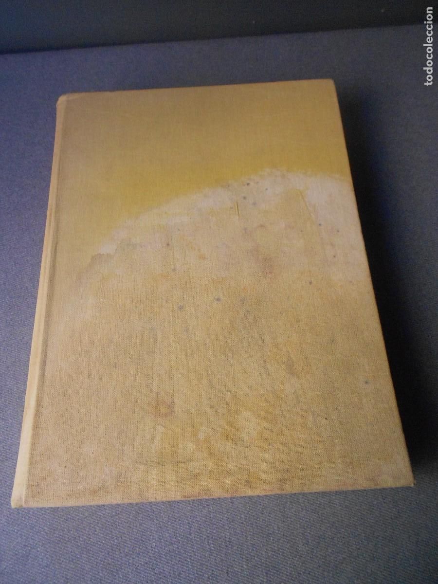 Libros de segunda mano: TELL ME WHY - Foto 1