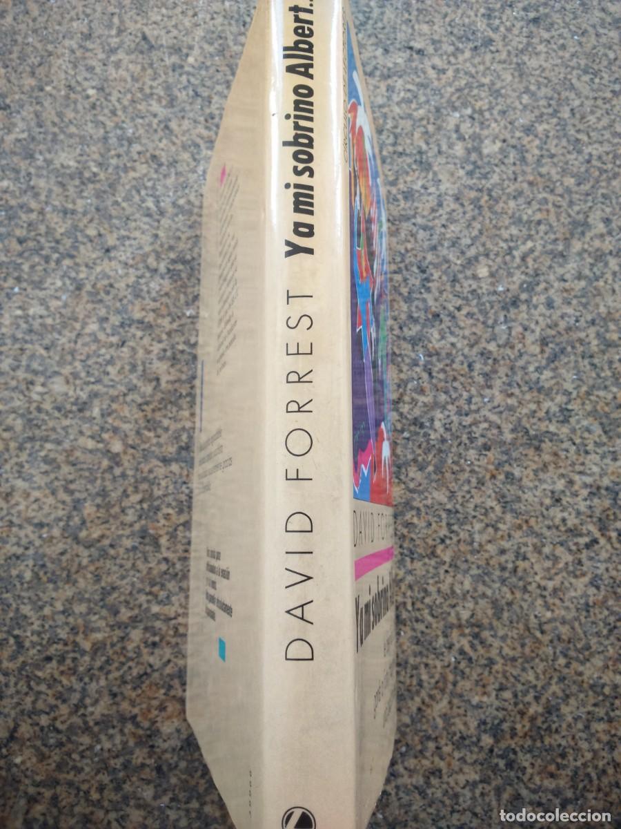 Libros de segunda mano: Y A MI SOBRINO ALBERT --DAVID FORREST -- CIRCULO -- - Foto 3