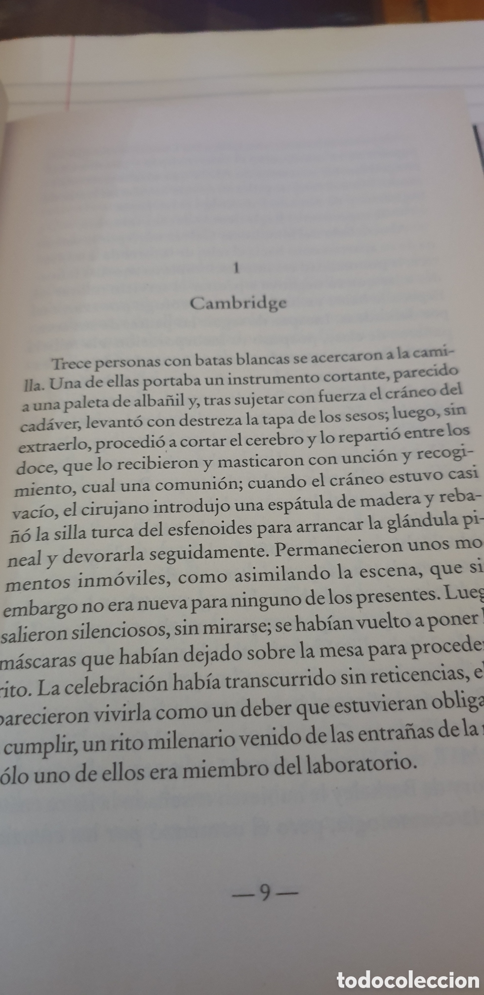 Libros de segunda mano: El cr&aacute;neo de Akenat&oacute;n - Foto 2