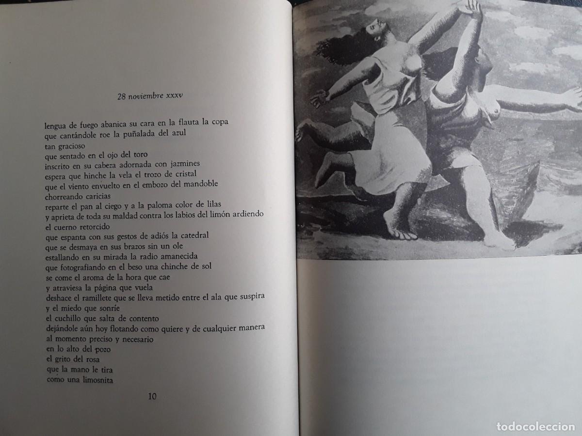 Libros de segunda mano: PICASSO. POEMAS Y DECLARACIONES. - Foto 3