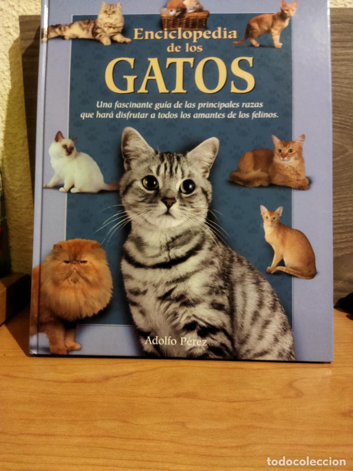 Libros de segunda mano: Enciclopedia de los gatos - Foto 1