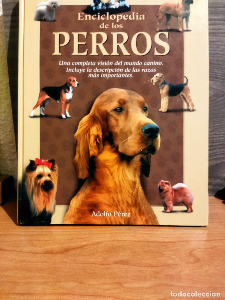 Libros de segunda mano: Enciclopedia de los perros - Foto 1