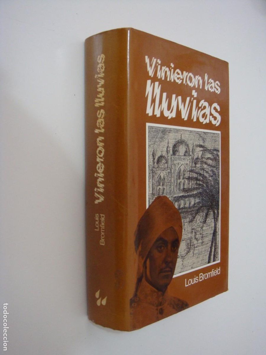 VINIERON LAS LLUVIAS