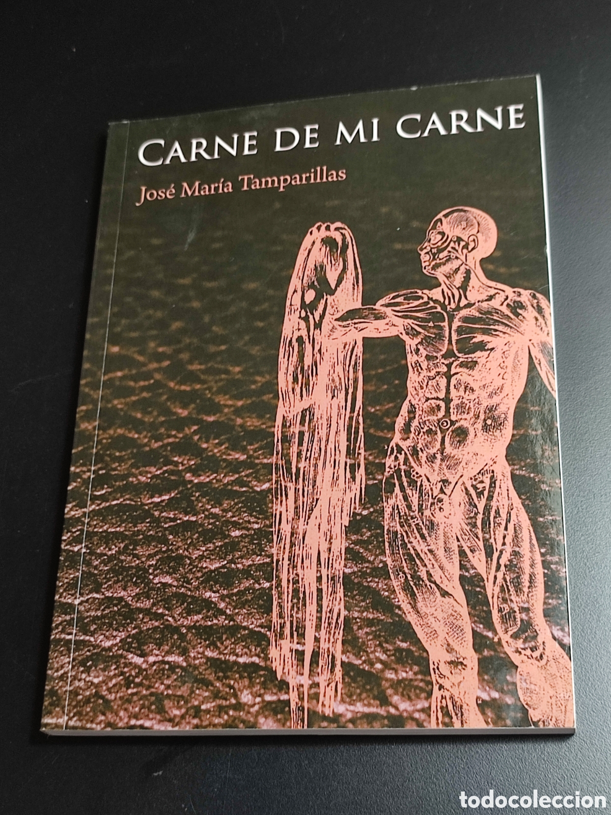 Gebrauchte B&uuml;cher: Carne de mi carne Jos&eacute; Mar&iacute;a Tamparillas