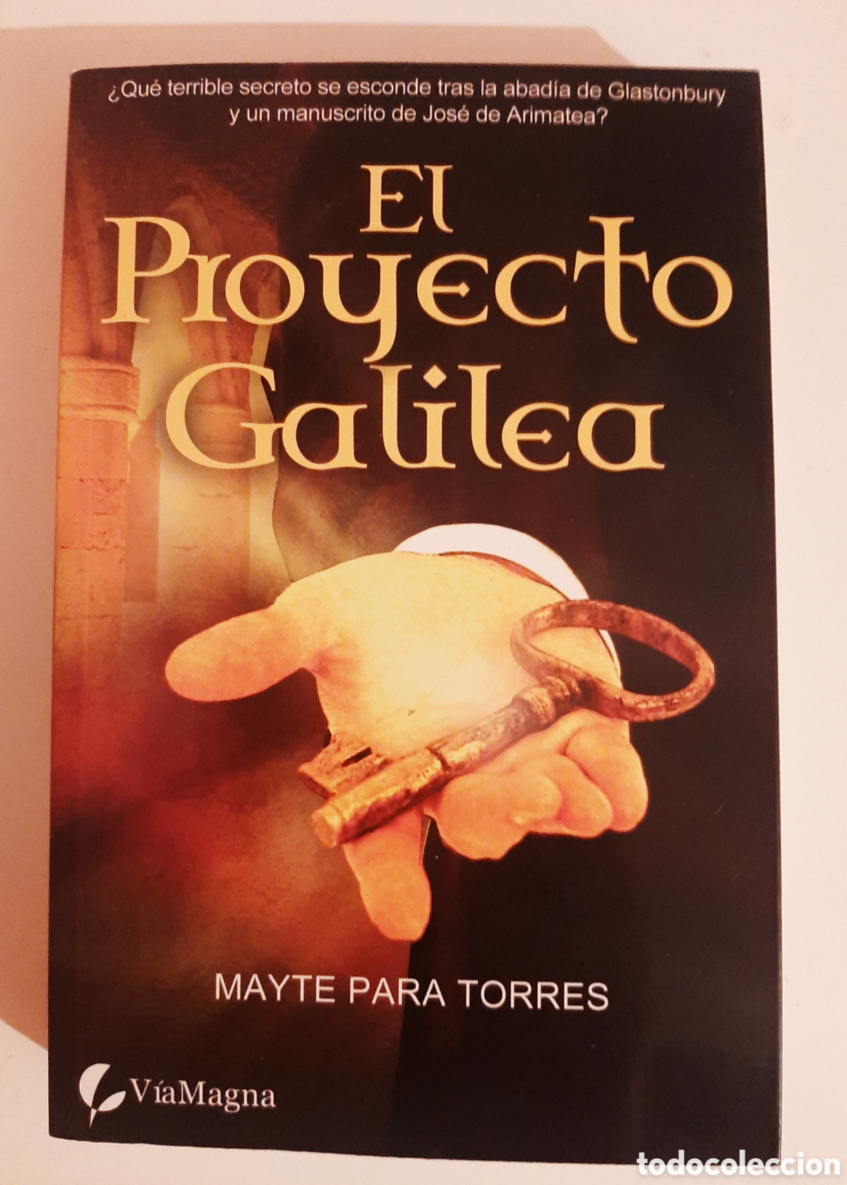 Libros de segunda mano: EL PROYECTO GALILEA - Mayte Para Torres - Foto 1