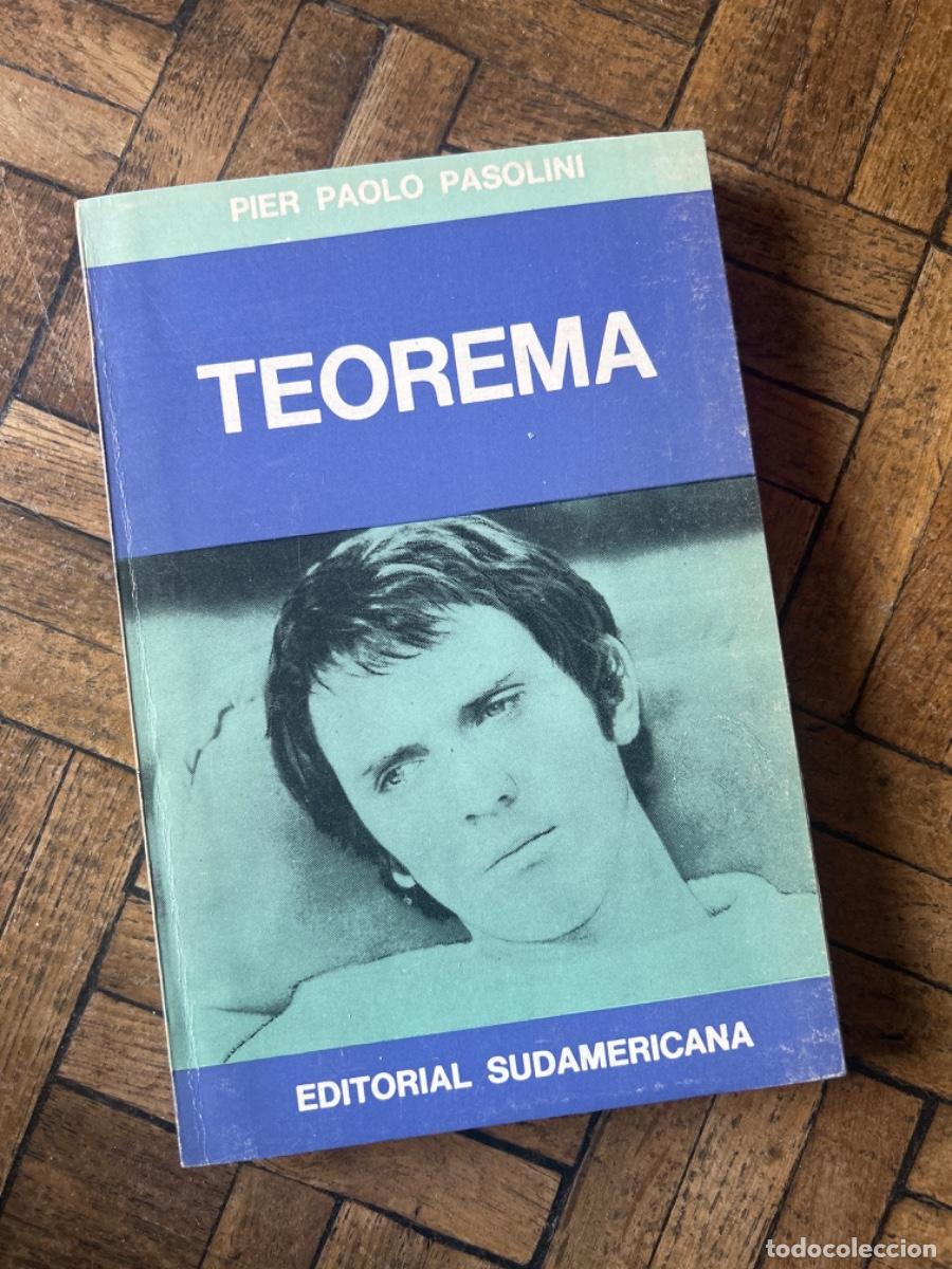 Libros de segunda mano: Teorema - Pier Paolo Pasolini - Foto 1