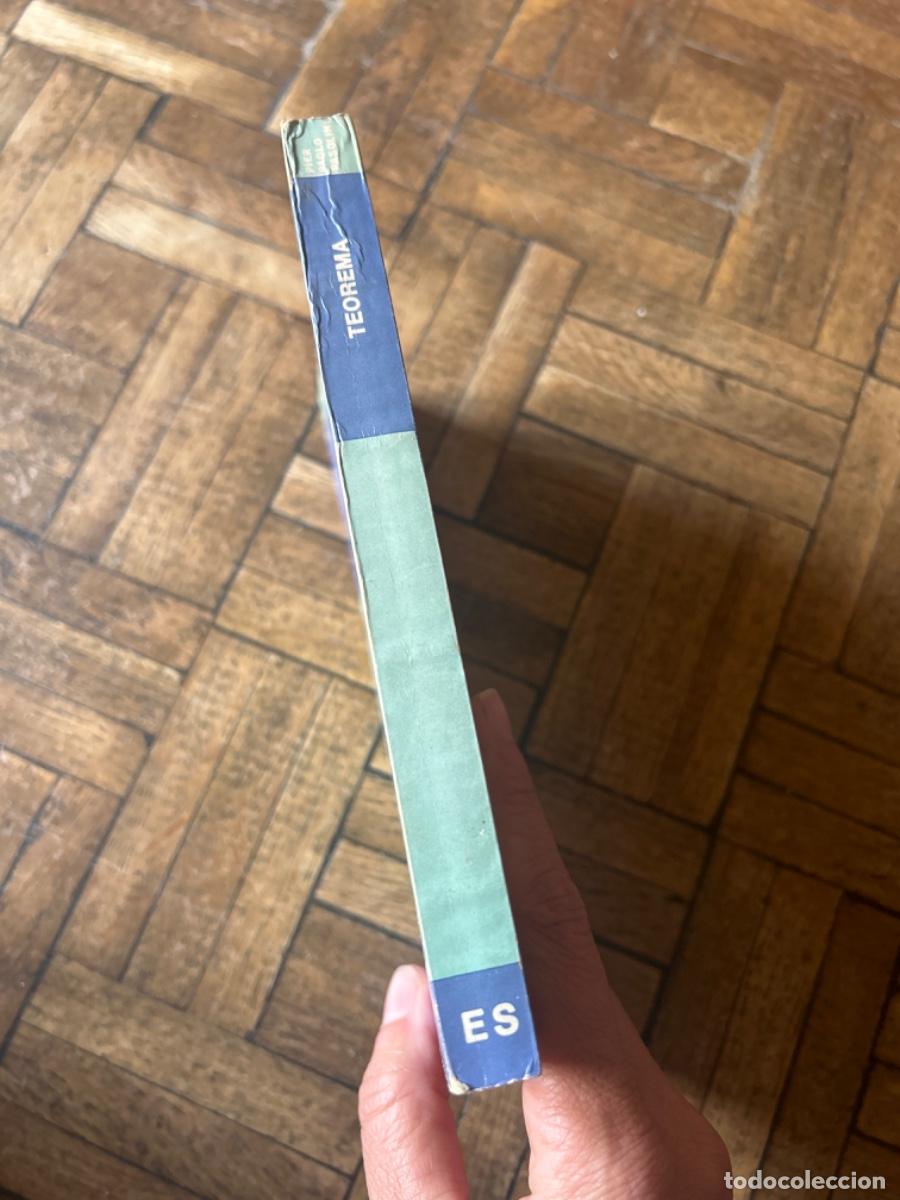 Libros de segunda mano: Teorema - Pier Paolo Pasolini - Foto 3
