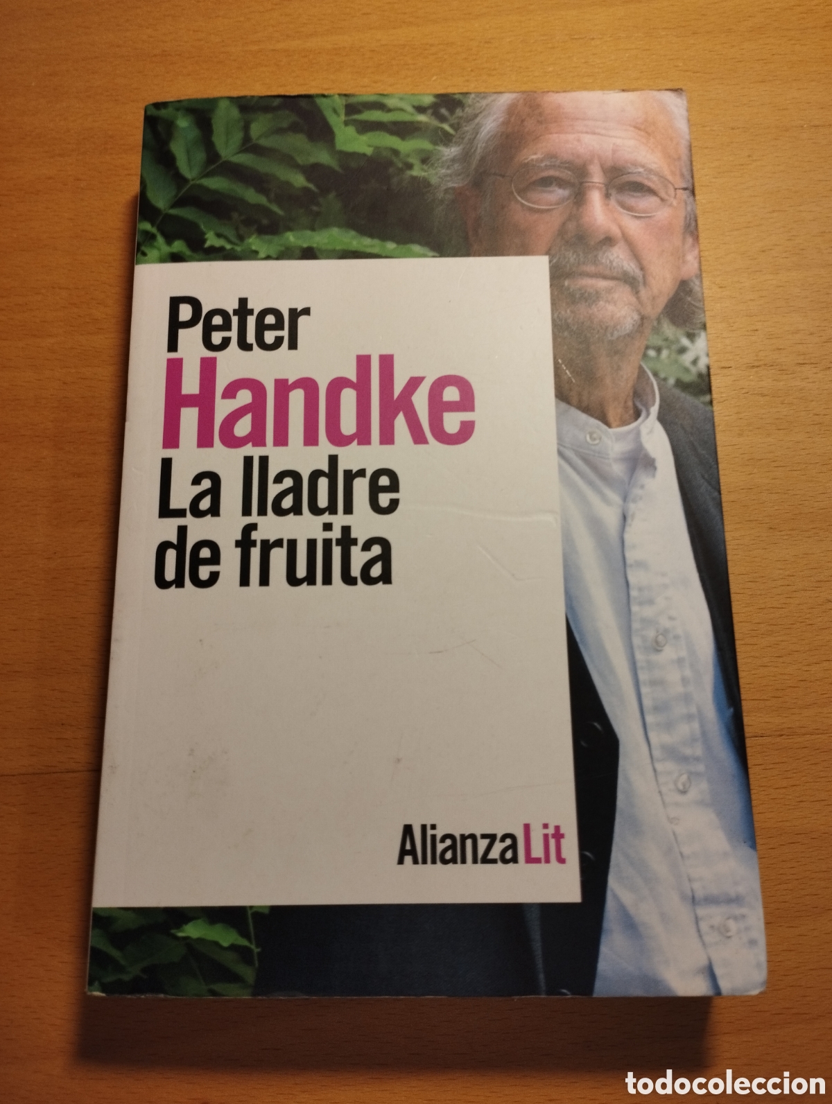 Libros de segunda mano: LA LLADRE DE FRUITA (PETER HANDKE) - Foto 1
