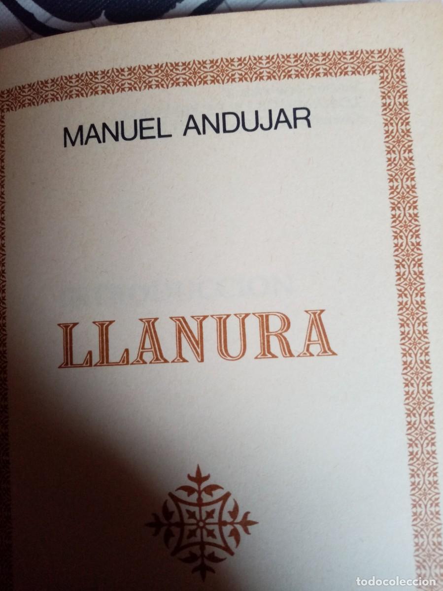 Libros de segunda mano: Llanura de Manuel Andujar - Foto 1
