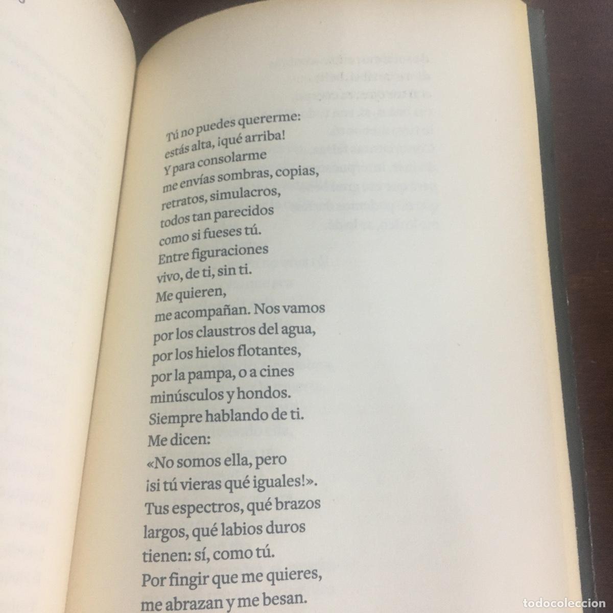 Libros de segunda mano: Pedro Salinas. La voz a ti debida REF: 345 - Foto 3