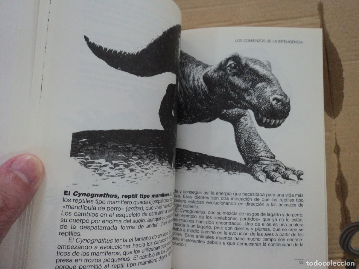Libros de segunda mano: El telar m&aacute;gico - Robert Jastrow - Foto 2