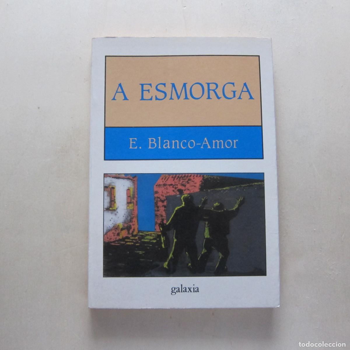 Libros de segunda mano: A ESMORGA - E. BLANCO-AMOR (GALAXIA) NOVELA IDIOMAS - Foto 1