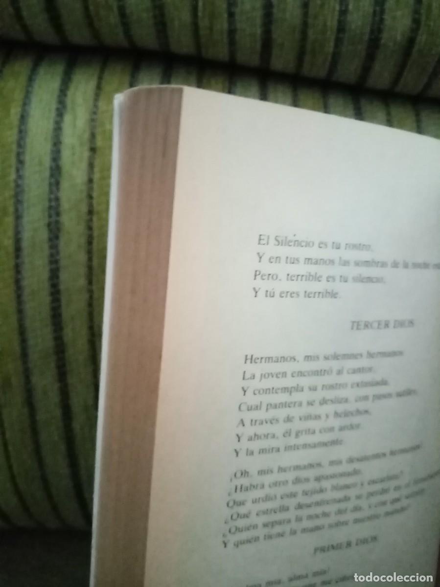 Libros de segunda mano: EL PROFETA los dioses de la tierra - Foto 6