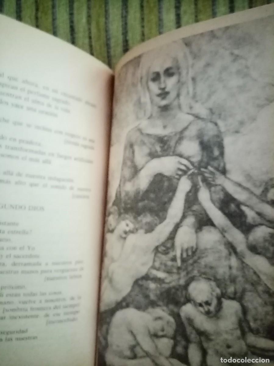 Libros de segunda mano: EL PROFETA los dioses de la tierra - Foto 10