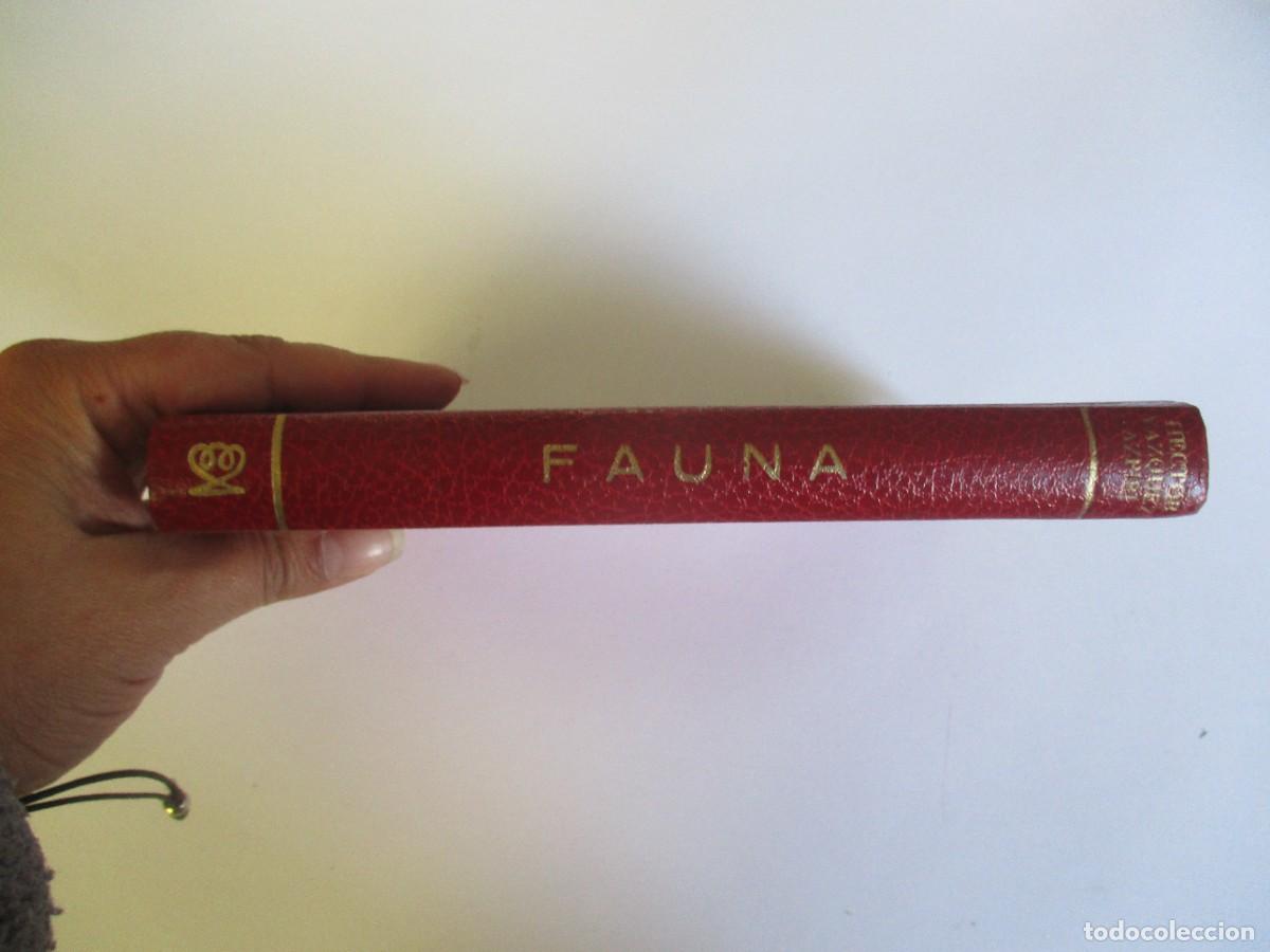 Libri di seconda mano: HECTOR V&Aacute;ZQUEZ AZPIRI Fauna (premio Alfaguara 1967) W20017