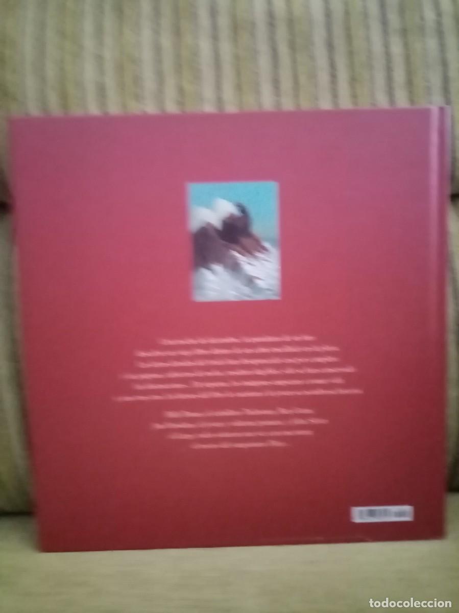 Libros de segunda mano: LA ISLA DEL TESORO Stevenson - Foto 3