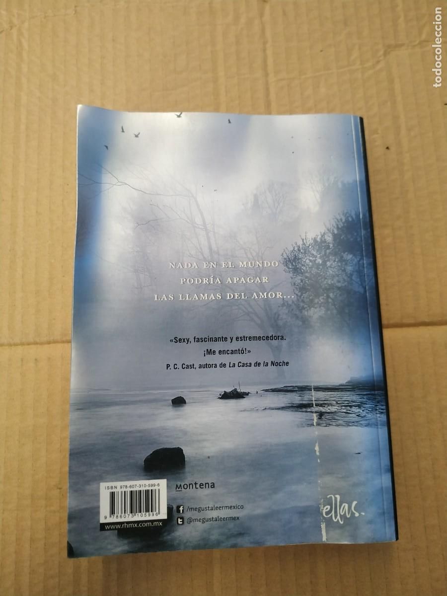 Libros de segunda mano: Oscuros. El poder de las sombras - Lauren Kate - Foto 2
