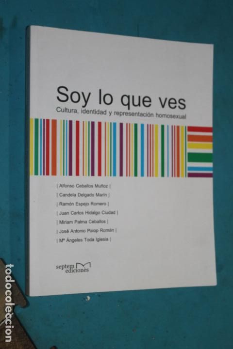 Libros de segunda mano: SOY LO QUE VES, CULTURA, IDENTIDAD Y REPRESENTACION HOMOSEXUAL,