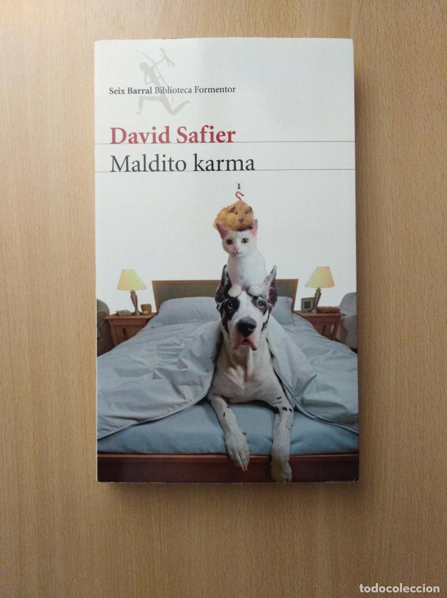 Libros de segunda mano: MALDITO KARMA. David Safier - Foto 1