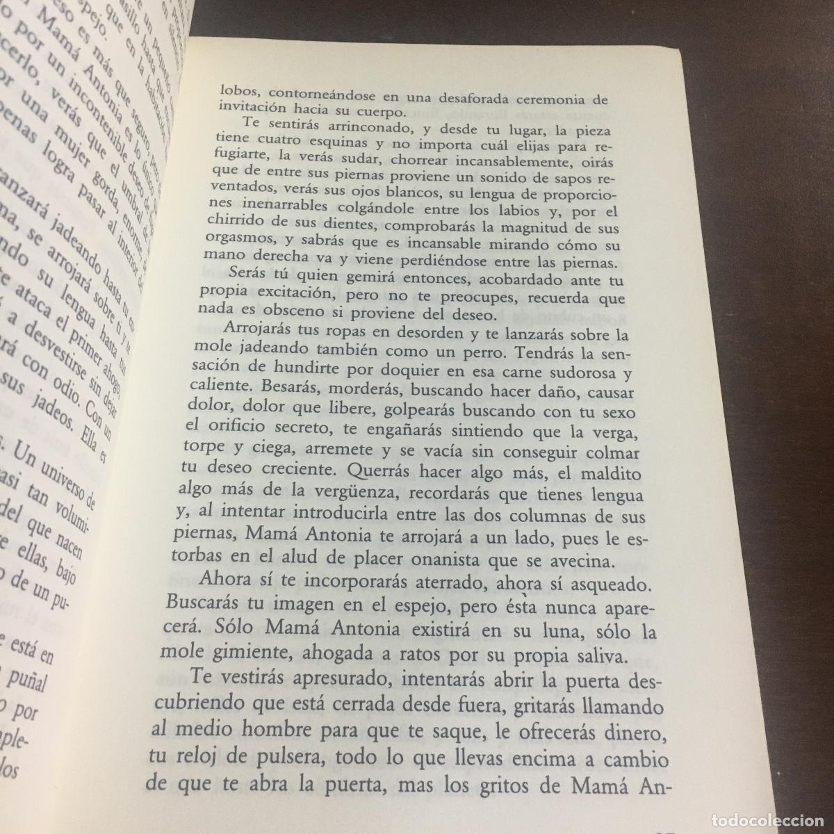 Libros de segunda mano: DESENCUENTROS - LUIS SEPULVEDA REF: 897 - Foto 2