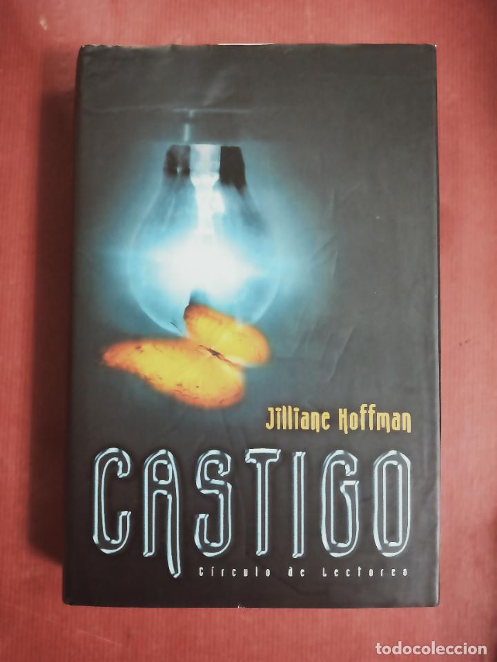 Libros de segunda mano: CASTIGO. JILLIANE HOFFMAN. CIRCULO DE LECTORES, 2004 - Foto 1