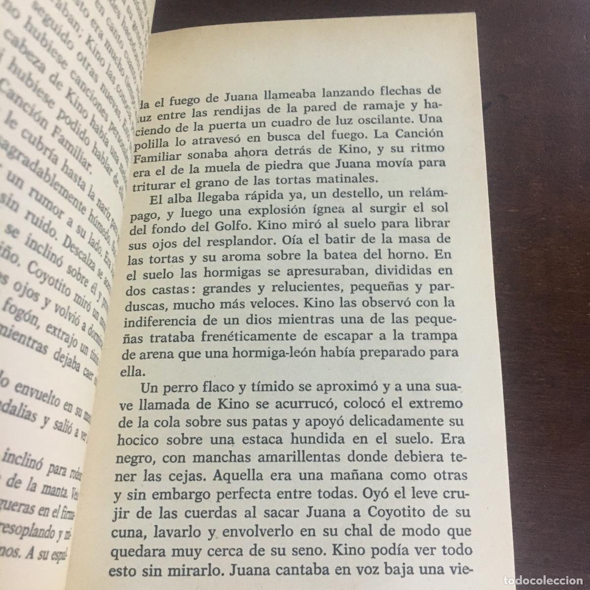 Libros de segunda mano: La perla. John Steinbeck REF: 1063 - Foto 2