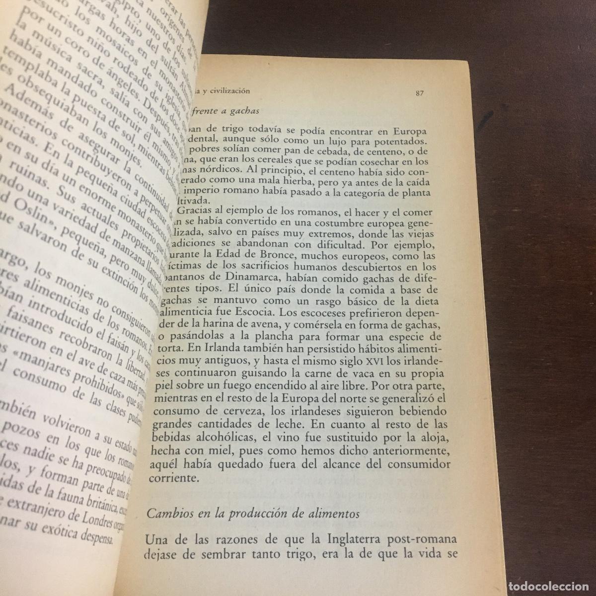 Libros de segunda mano: COMIDA Y CIVILIZACI&Oacute;N. - CARSON I. A. RITCHIE REF: 1083 - Foto 2