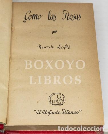 Libros de segunda mano: LOFTS, Norah. Como las rosas - Foto 2