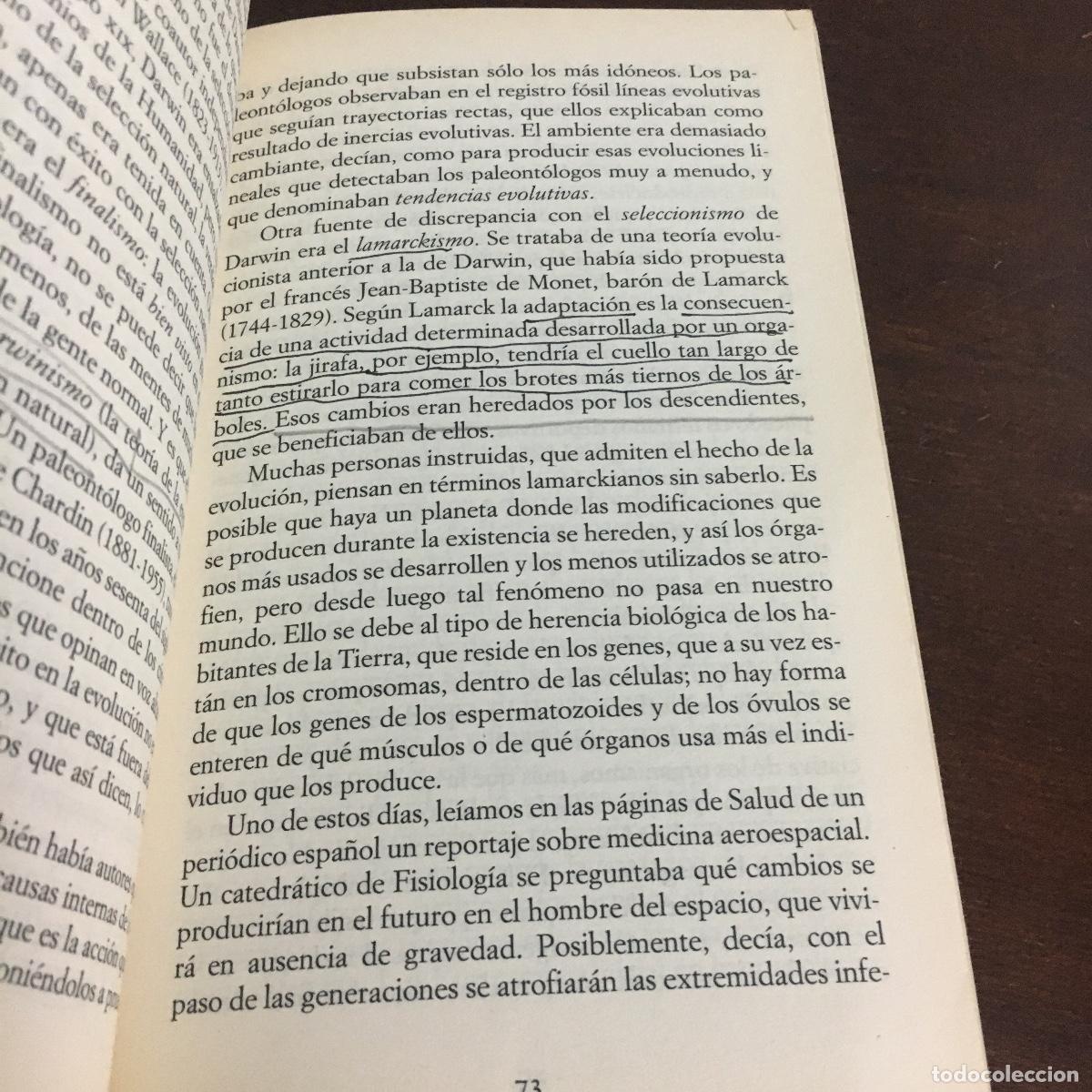 Libros de segunda mano: Amalur: del &aacute;tomo a la mente.- Mart&iacute;nez, Ignacio REF:1526 - Foto 3