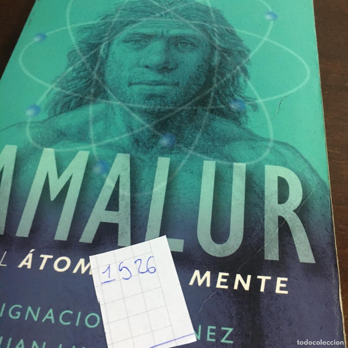 Libros de segunda mano: Amalur: del &aacute;tomo a la mente.- Mart&iacute;nez, Ignacio REF:1526 - Foto 5
