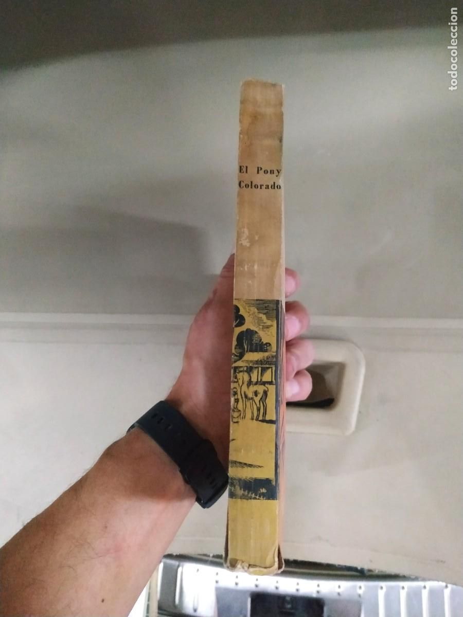 Libros de segunda mano: El pony colorado - John Steinbeck - Foto 3