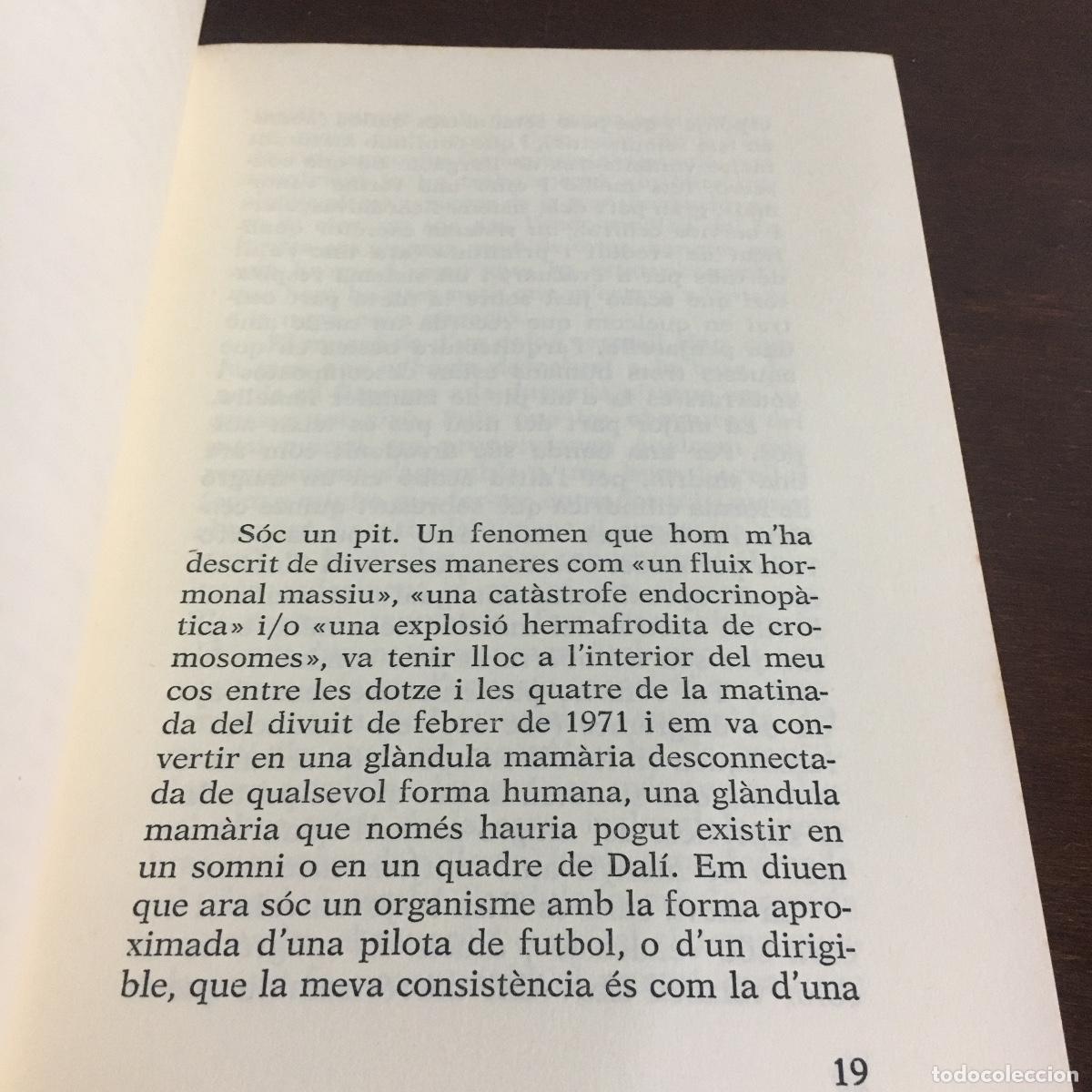 Libros de segunda mano: El pit - Roth, Philip REF: 1651 - Foto 3