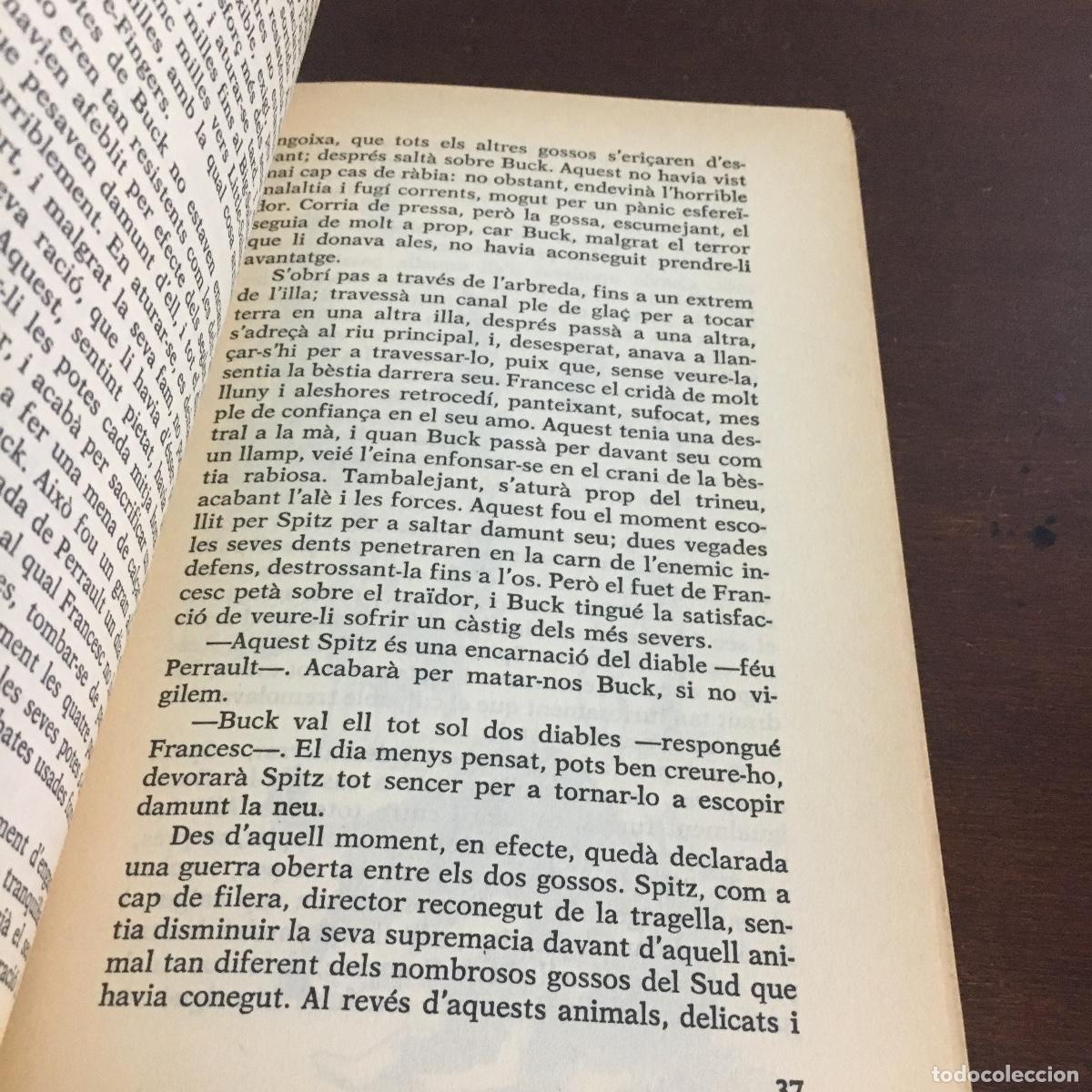 Libros de segunda mano: LA CRIADA DEL BOSC - JACK LONDON REF: 1702 - Foto 3