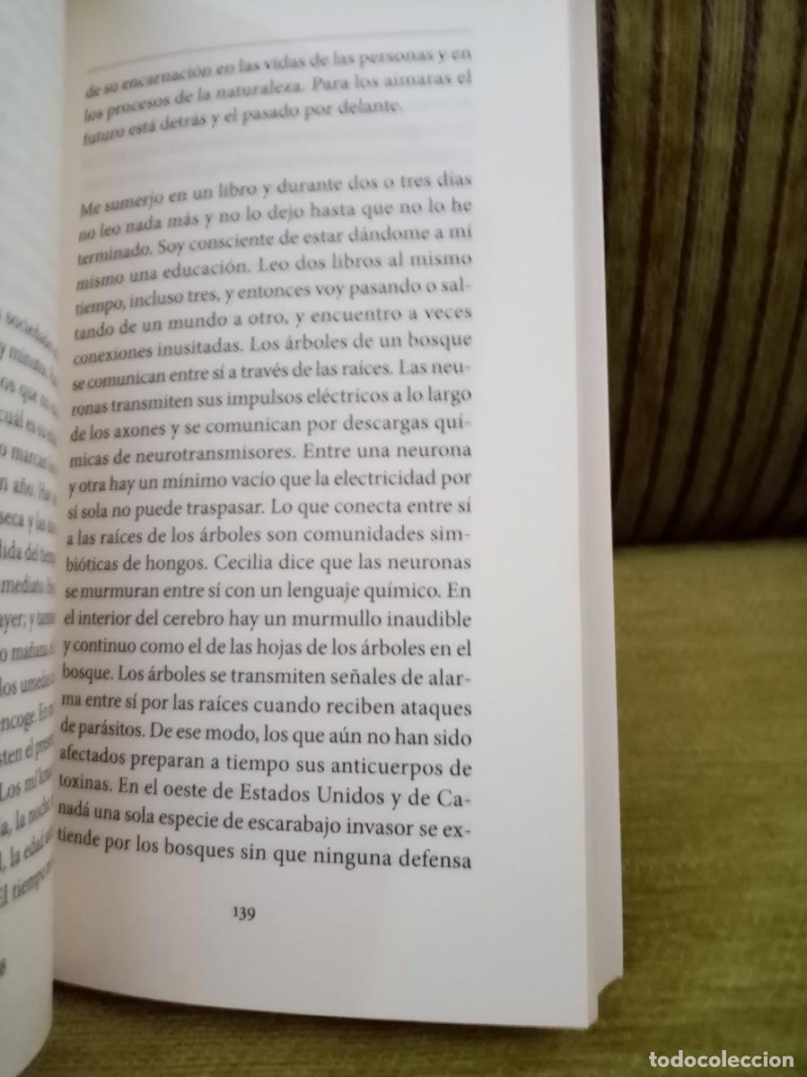 Libros de segunda mano: TUS PASOS EN LA ESCALERA - Foto 9