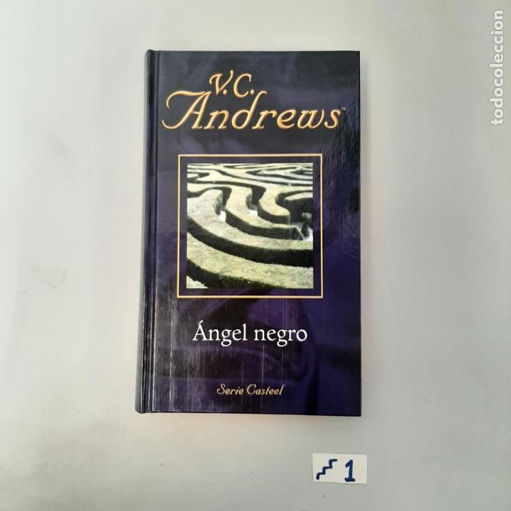Libros de segunda mano: &Aacute;ngel negro - Foto 1