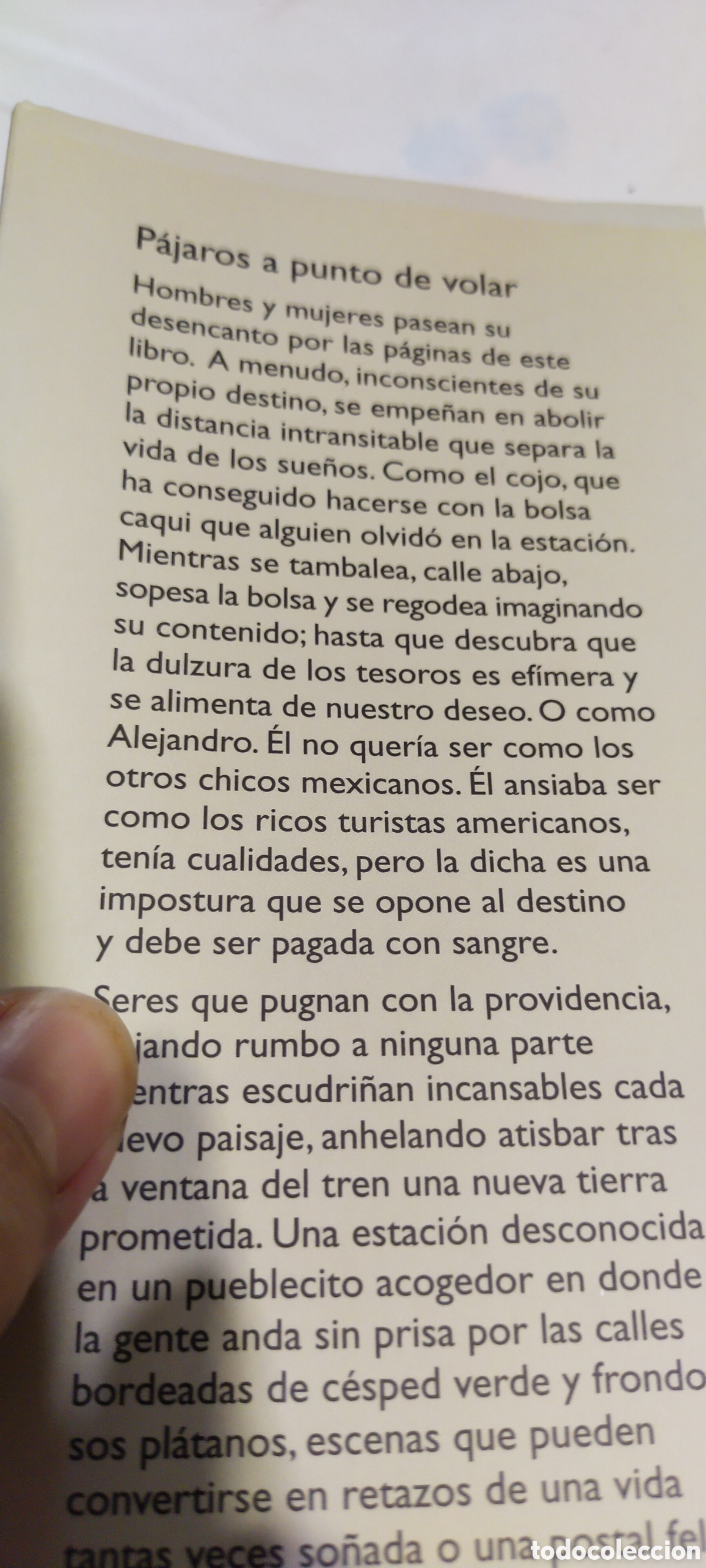 Libros de segunda mano: P&aacute;jaros a punto de volar - Foto 4