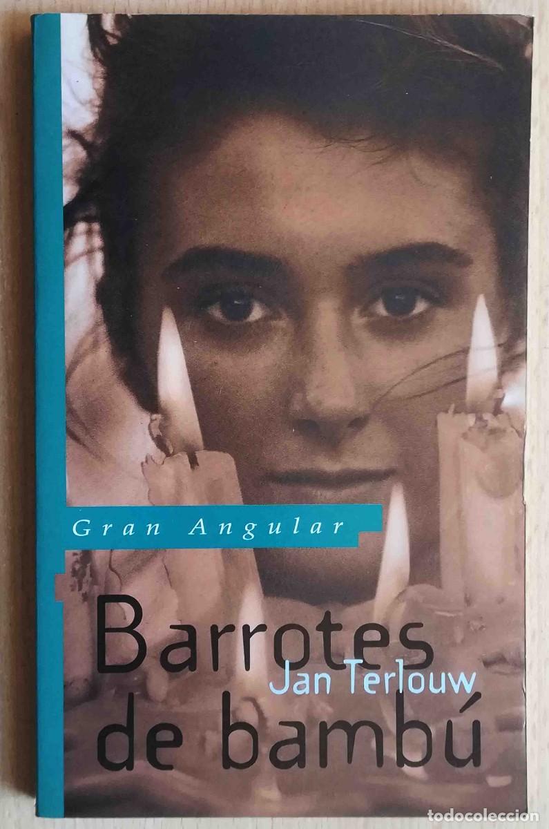 Libros de segunda mano: Barrotes de bamb&uacute; (Jan Terlouw) SM Gran Angular 1995 - Foto 1