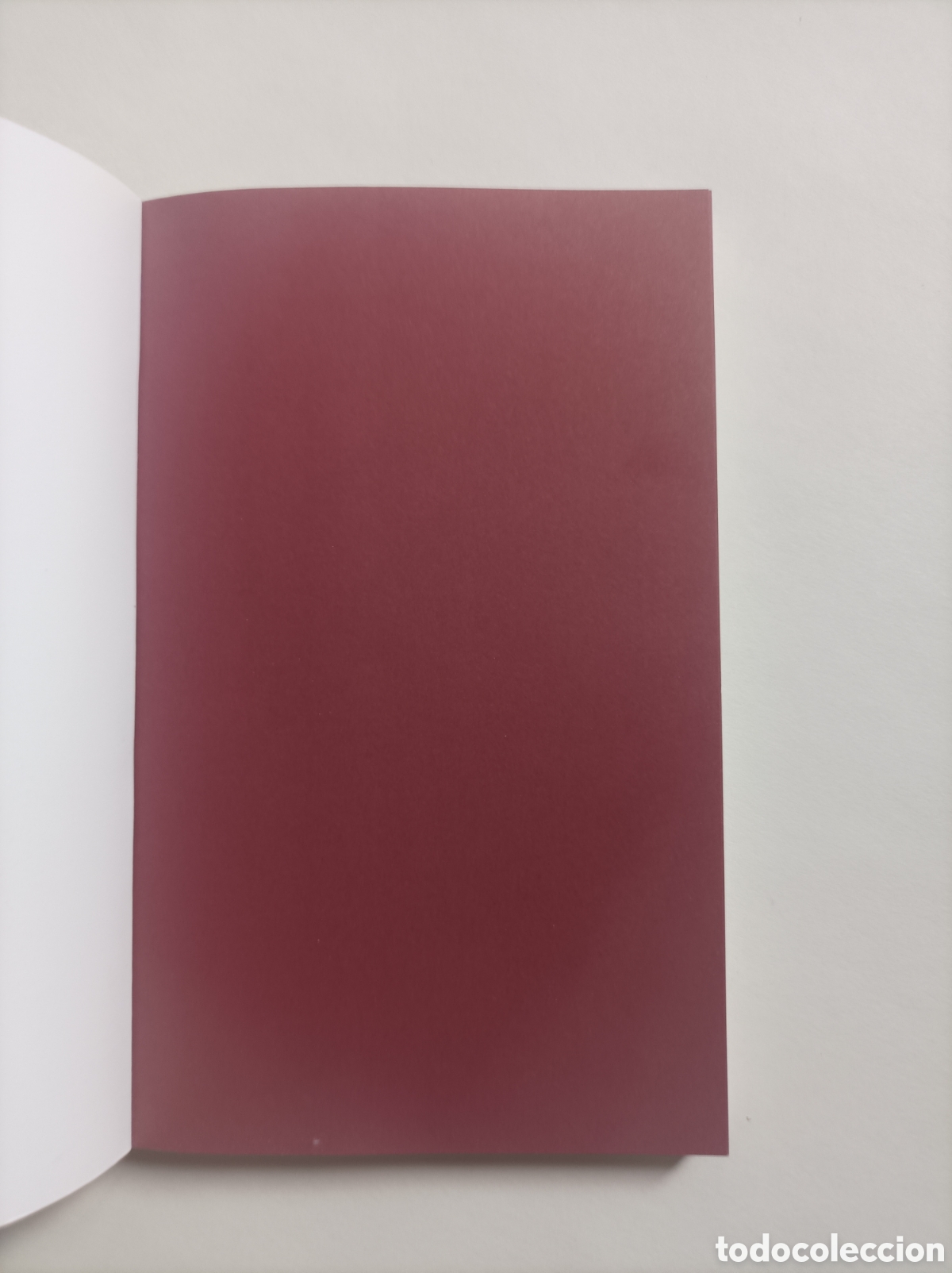 Libros de segunda mano: Juventud sin Dios / &Ouml;d&ouml;n von Horv&aacute;th. - Foto 2