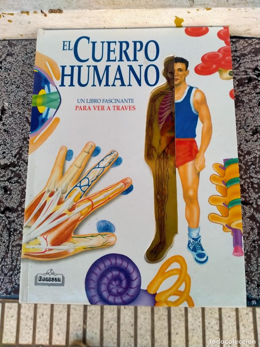 Libros de segunda mano: LIBRO EL CUERPO HUMANO EDITORIAL BEASCOA - Foto 1
