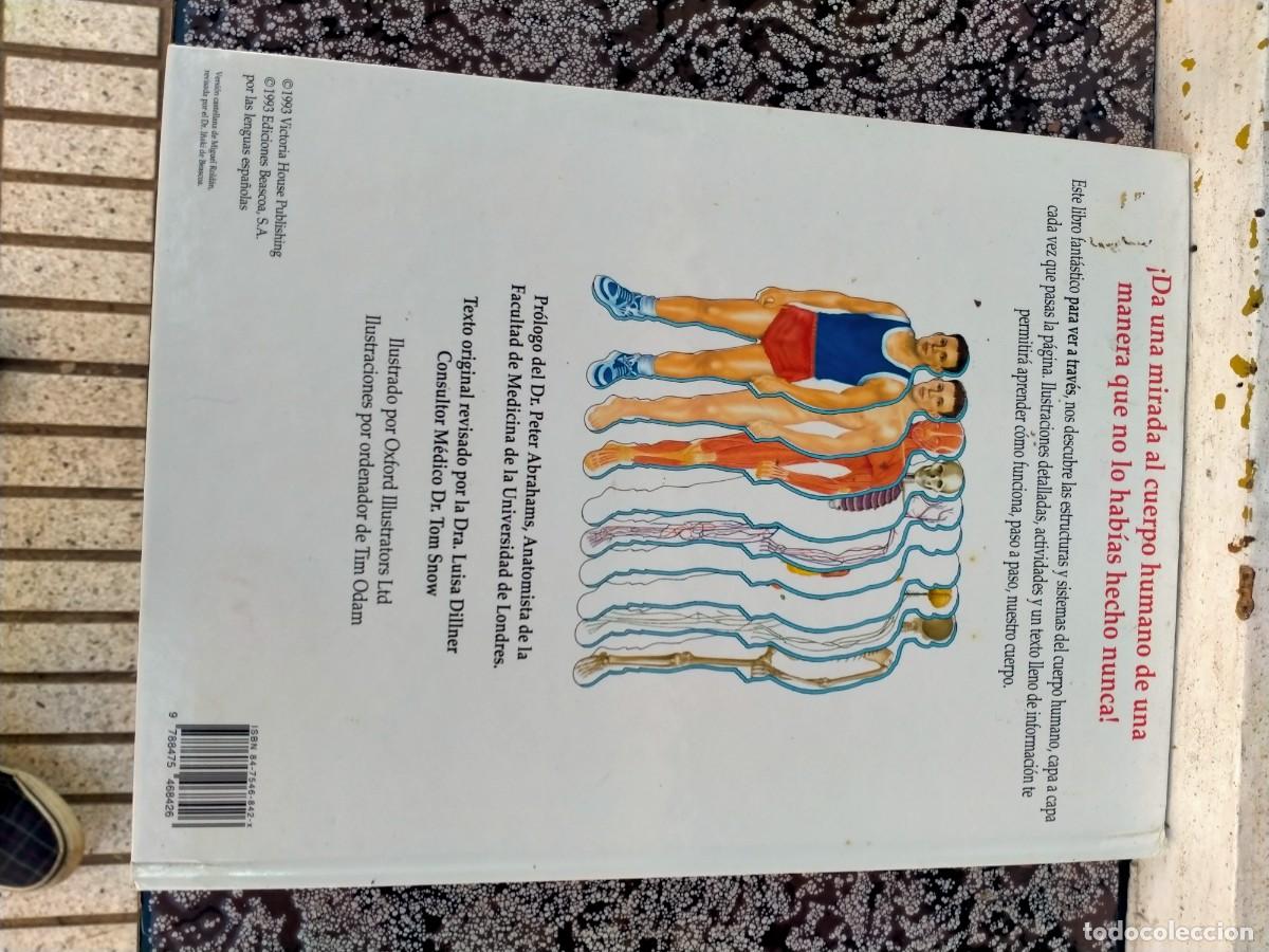 Libros de segunda mano: LIBRO EL CUERPO HUMANO EDITORIAL BEASCOA - Foto 2