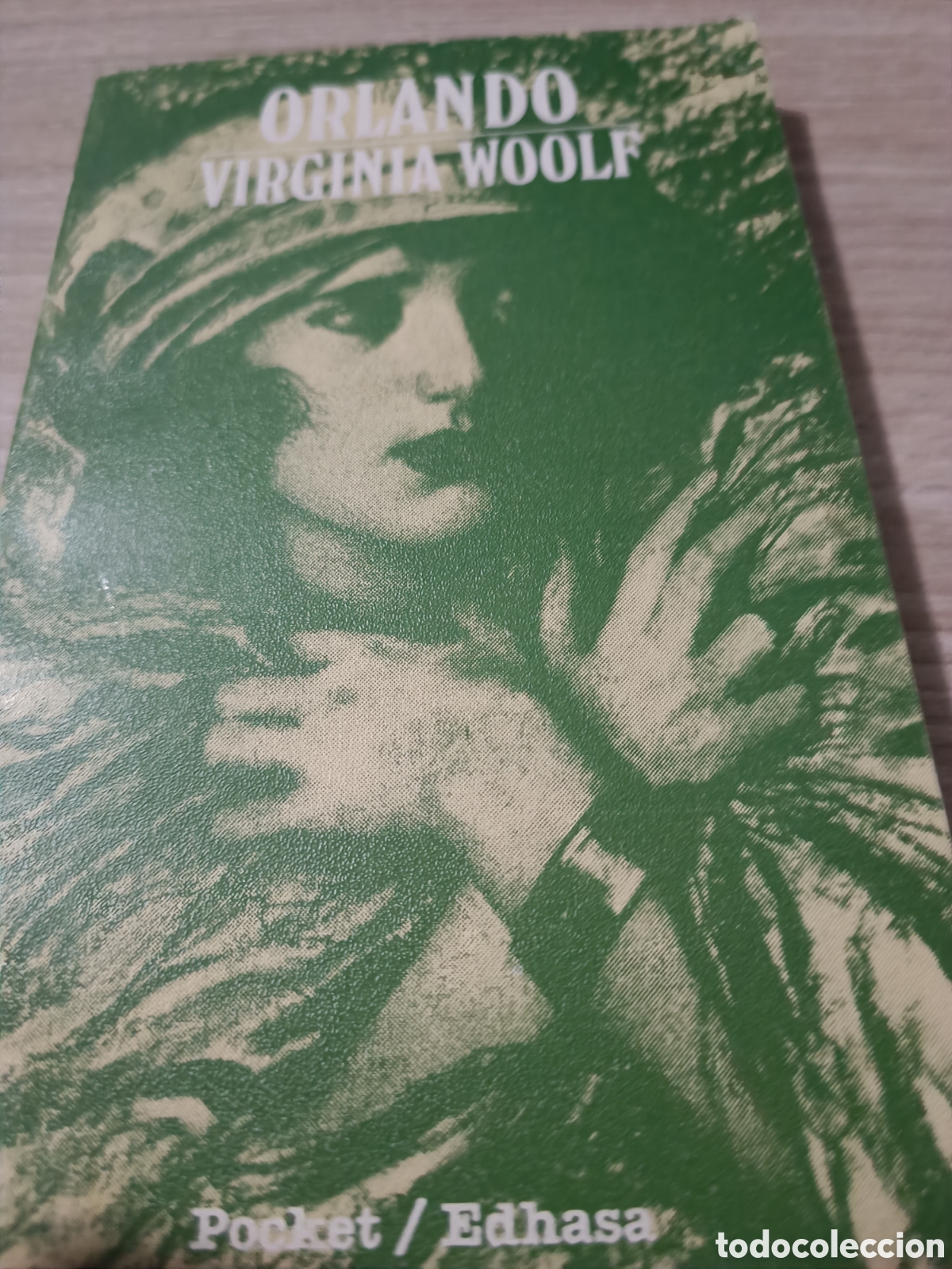 Libros de segunda mano: Orlando - Foto 1