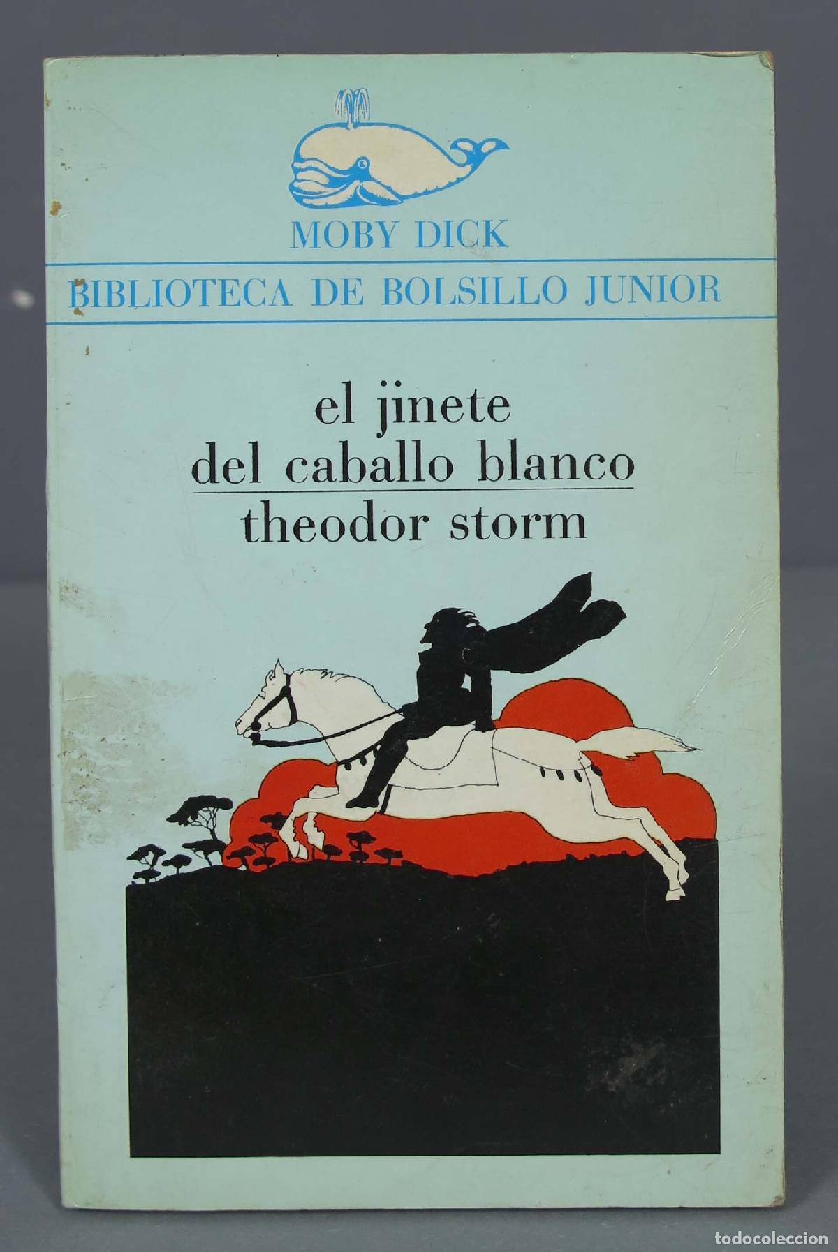 Libros de segunda mano: El jinete del caballo blanco. Storm - Foto 1