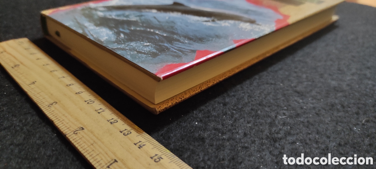 Libros de segunda mano: Delfines. Alberto V&aacute;zquez Figueroa - Foto 3