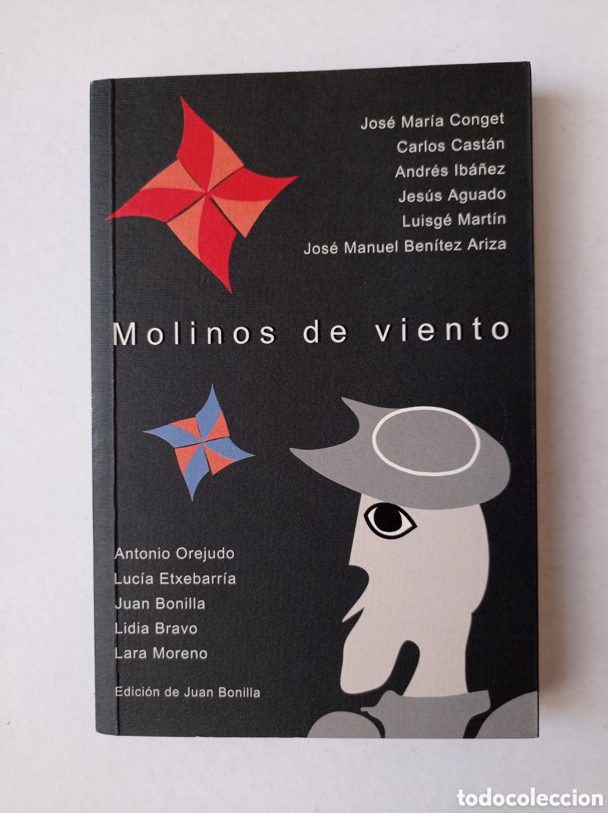Libros de segunda mano: Molinos de viento - Foto 1