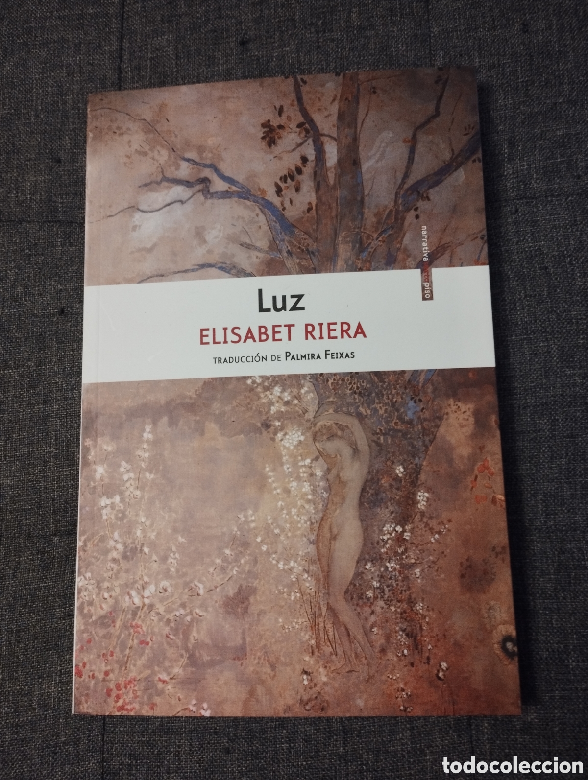Libros de segunda mano: LUZ (ELISABET RIERA) - Foto 1