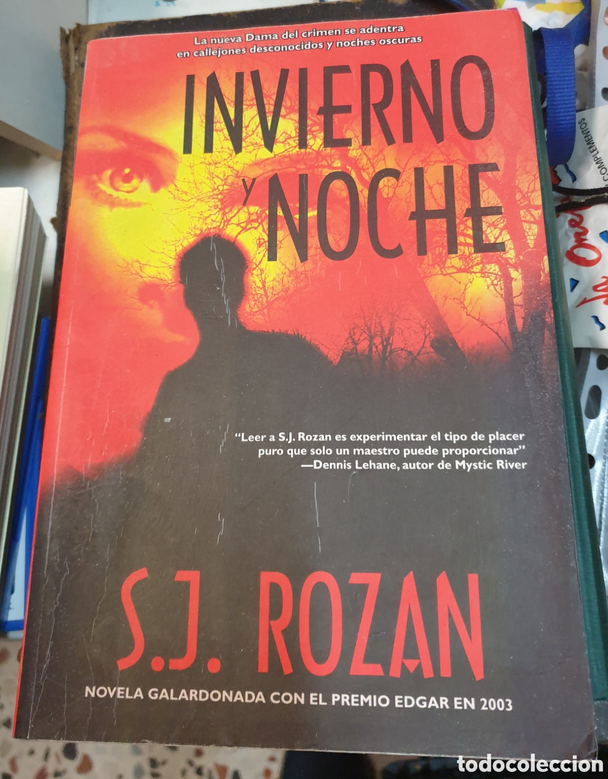 Libros de segunda mano: Invierno noche - S. J. Rozan - Foto 1