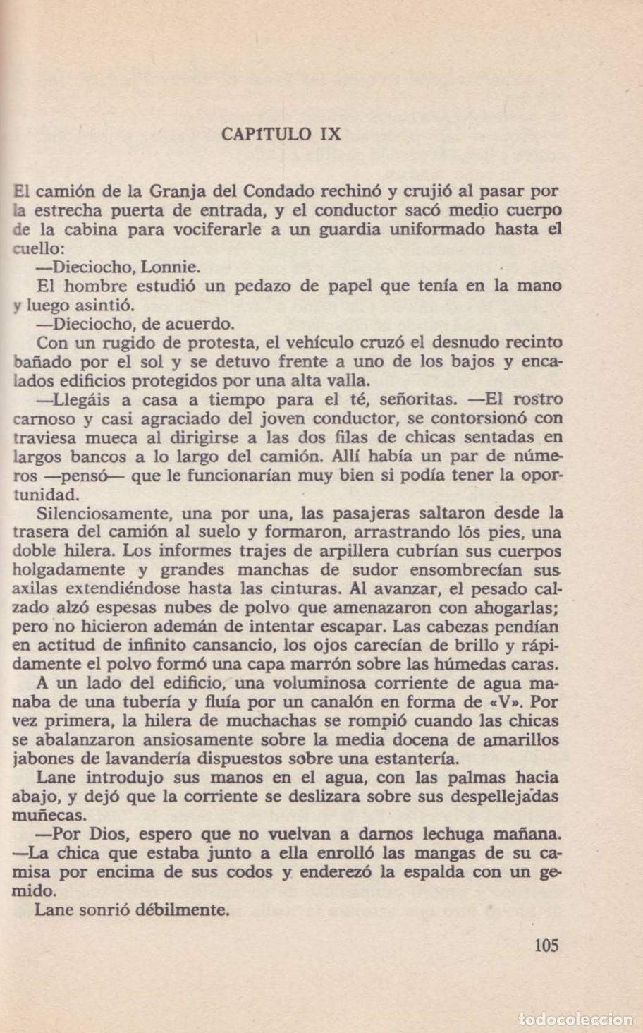 Libros de segunda mano: Flamingo road - Wilder, Robert - Foto 2