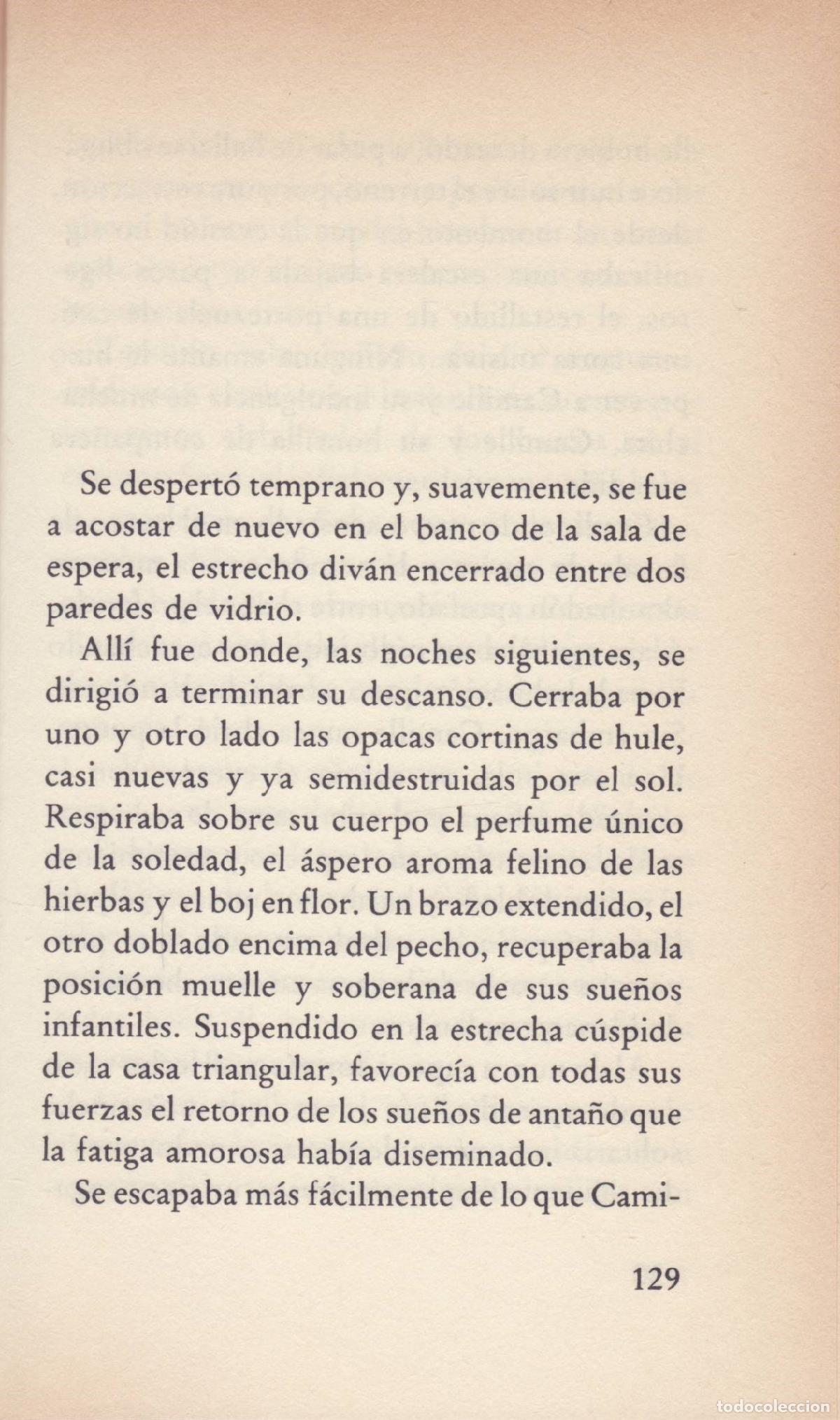 Libros de segunda mano: La gata - Colette - Foto 2